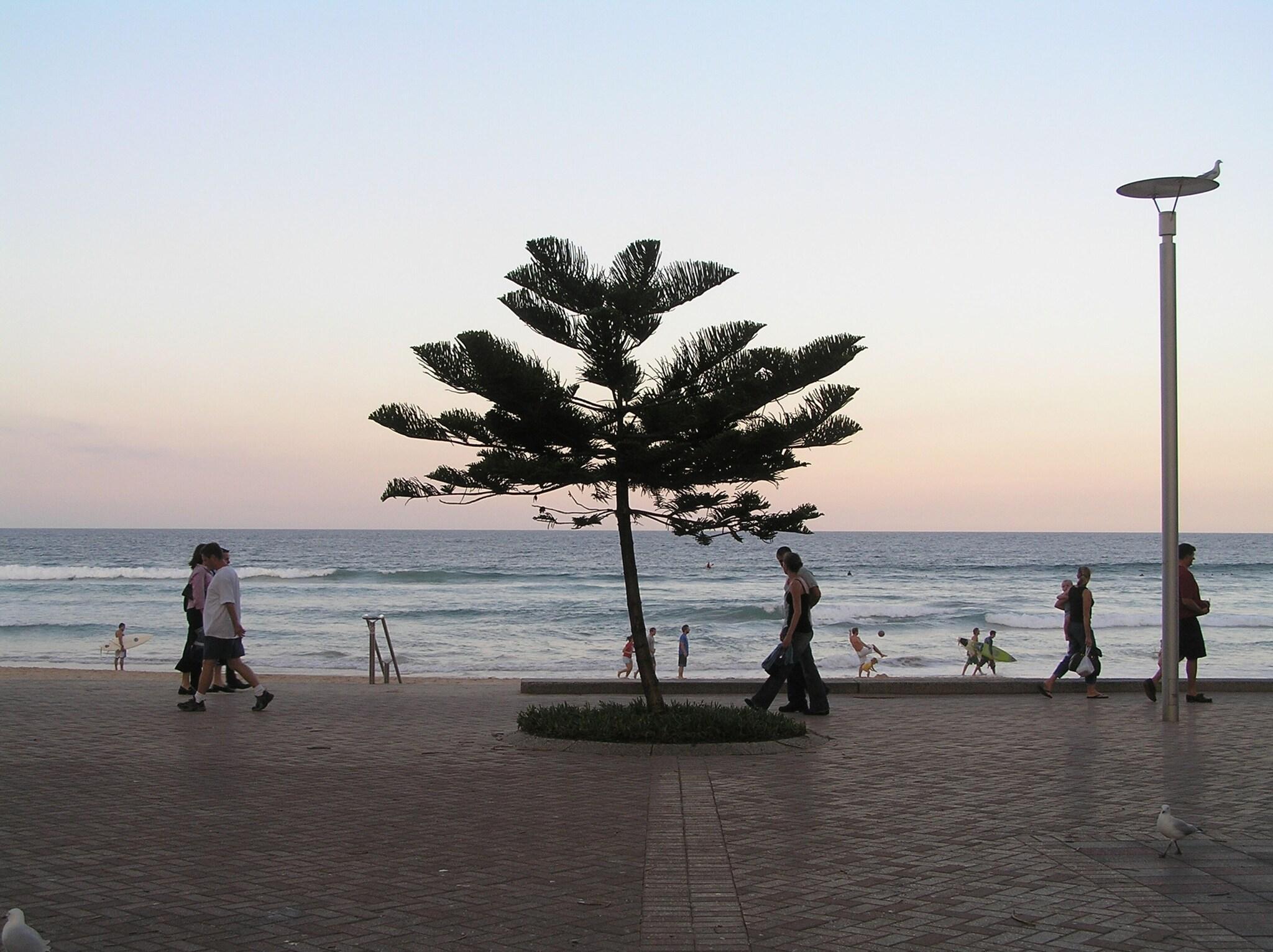 Playa The Sebel Sydney Manly Beach