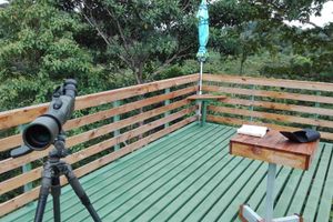 Alojamiento - Danta Corcovado Lodge