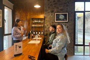 Actividad - City Tour y Ruta Interlagos en San Juan