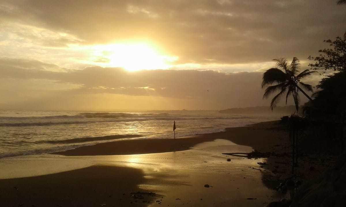 Playa Tasty Dayz Hostel