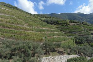 Alojamiento - Agriturismo Buranco