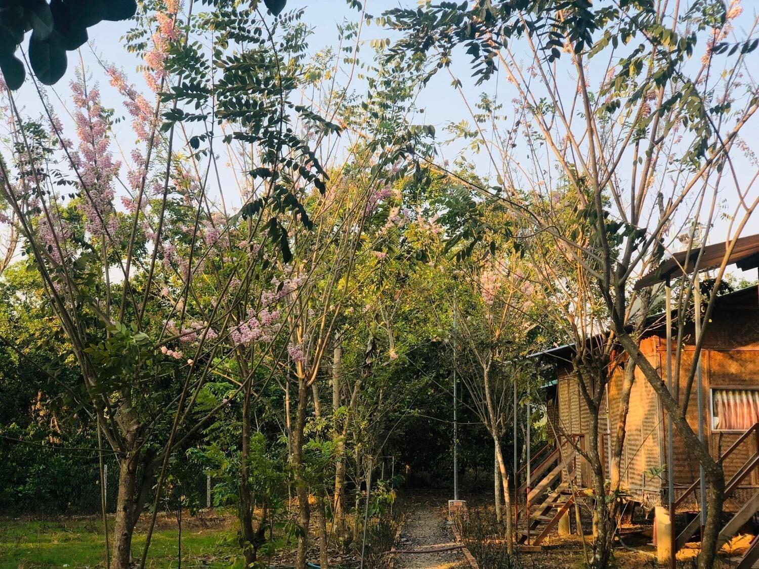 Comodidades del Alojamiento Spirit Garden Guesthouse