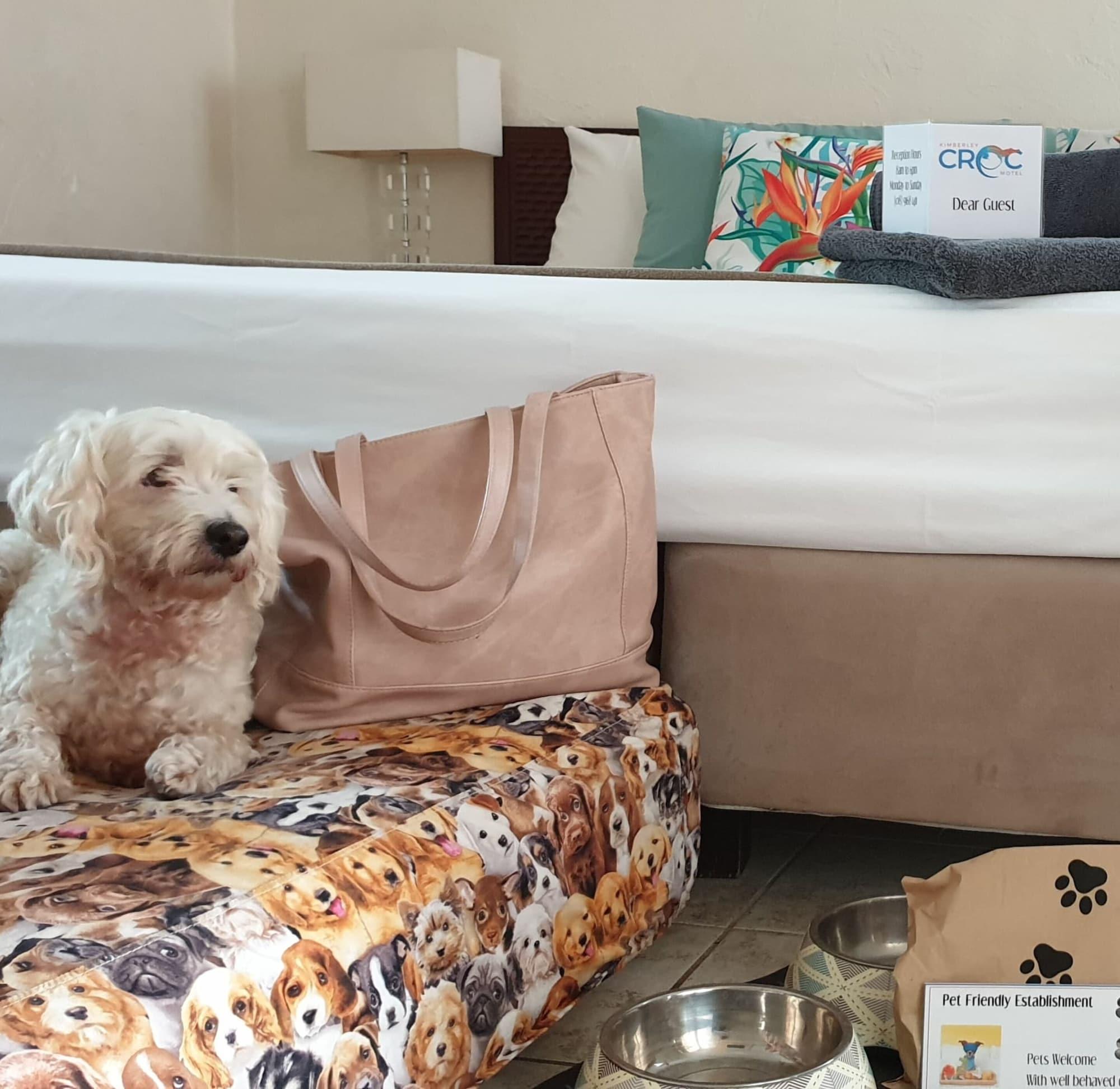Habitación Kimberley Croc Motel