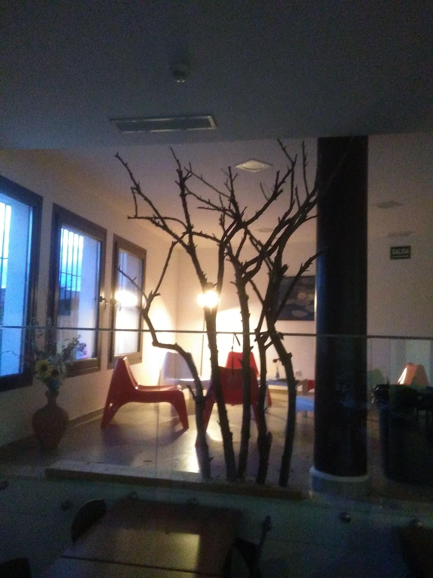 Vista Lobby Centro de Naturaleza Cañada Verde