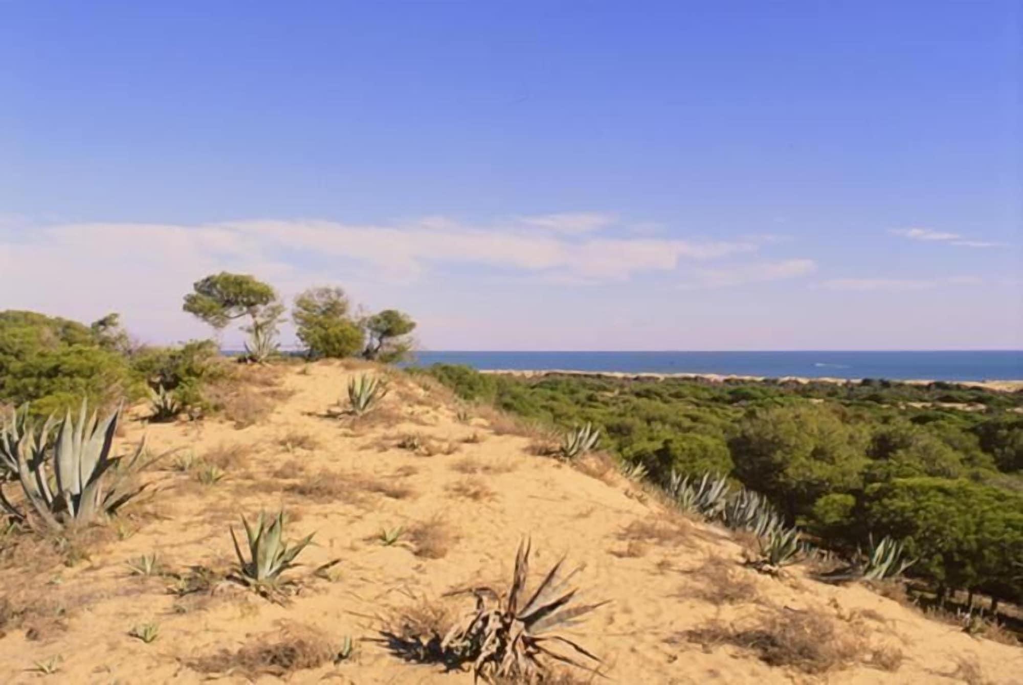 Playa Hotel Quino