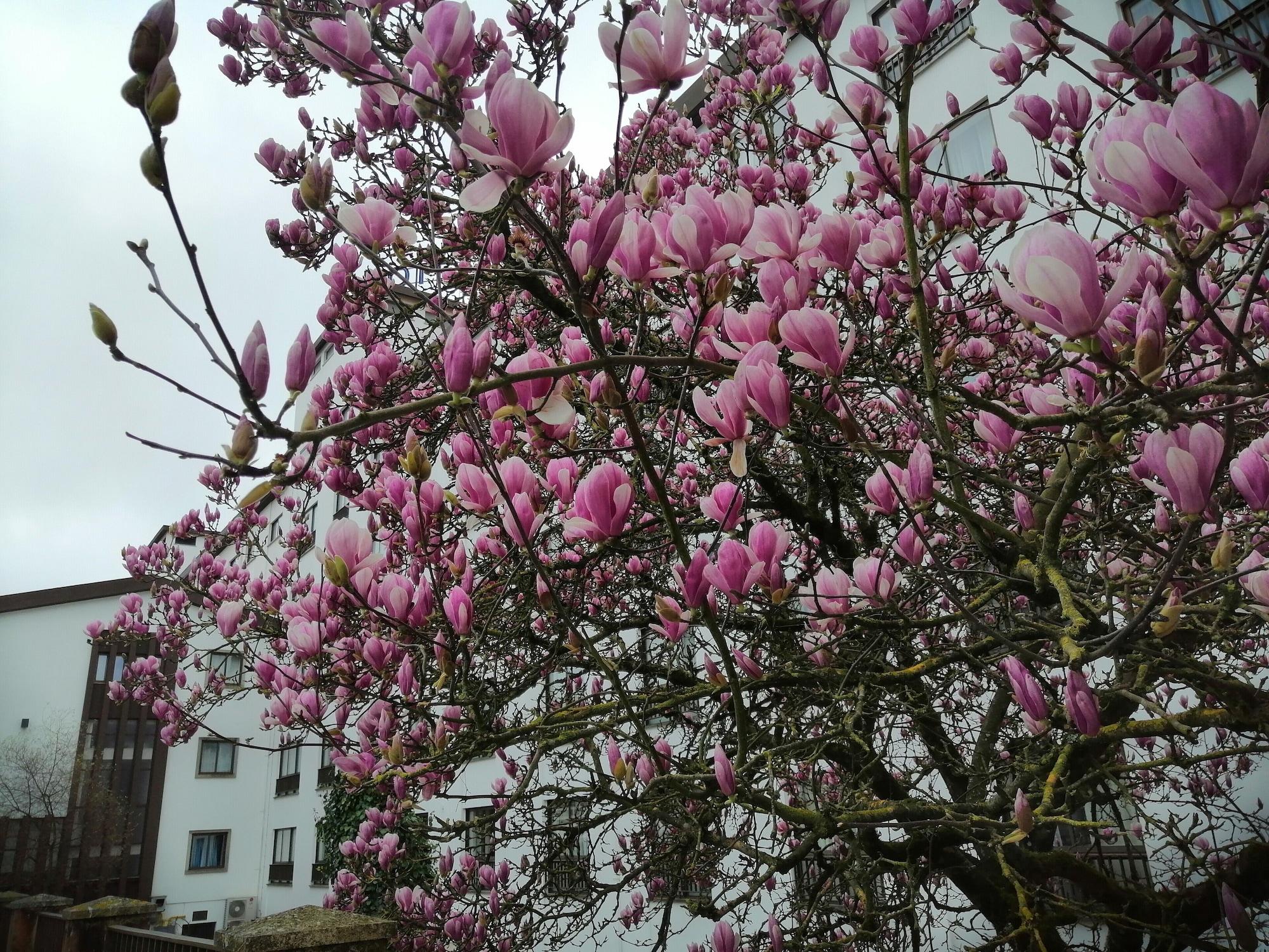 Vista Exterior Steyler Fatima Hotel Congress