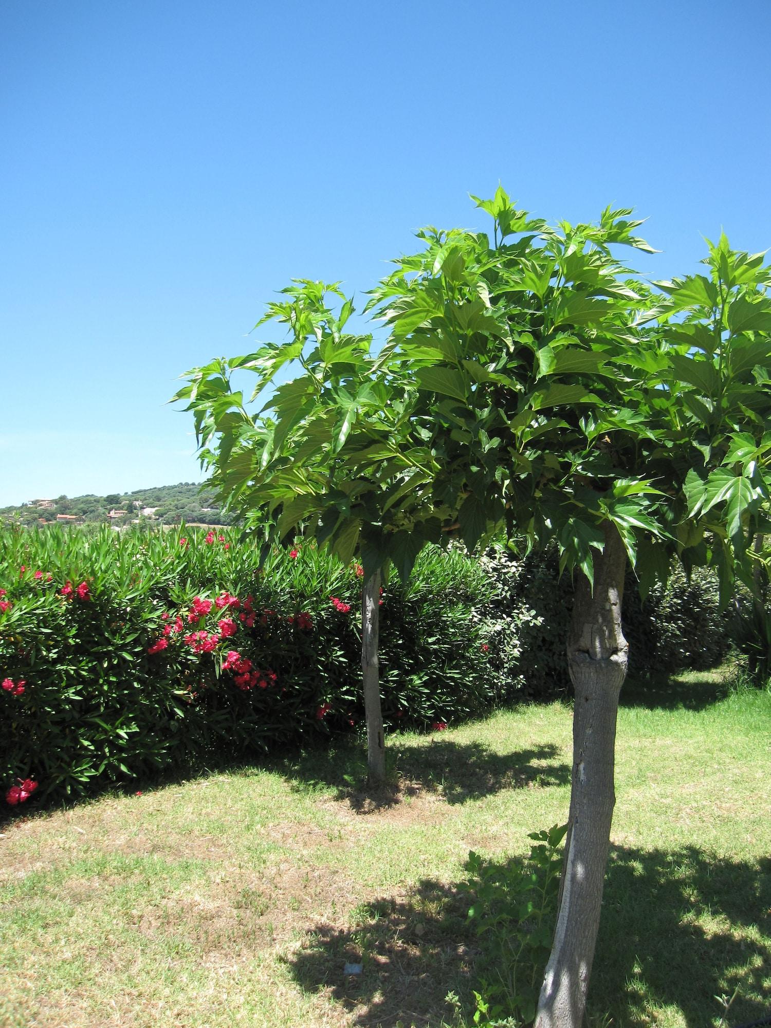 Comodidades del Alojamiento Les Belles Ombres