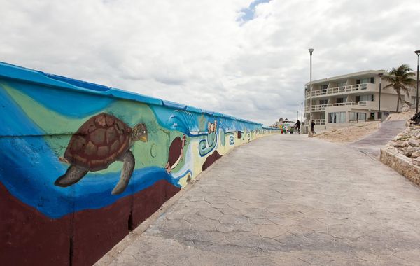 Rocamar Hotel Panoramico Isla Mujeres - Hoteles pet friendly en Isla Mujeres, México