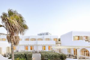 Alojamiento - Hotel Pelican