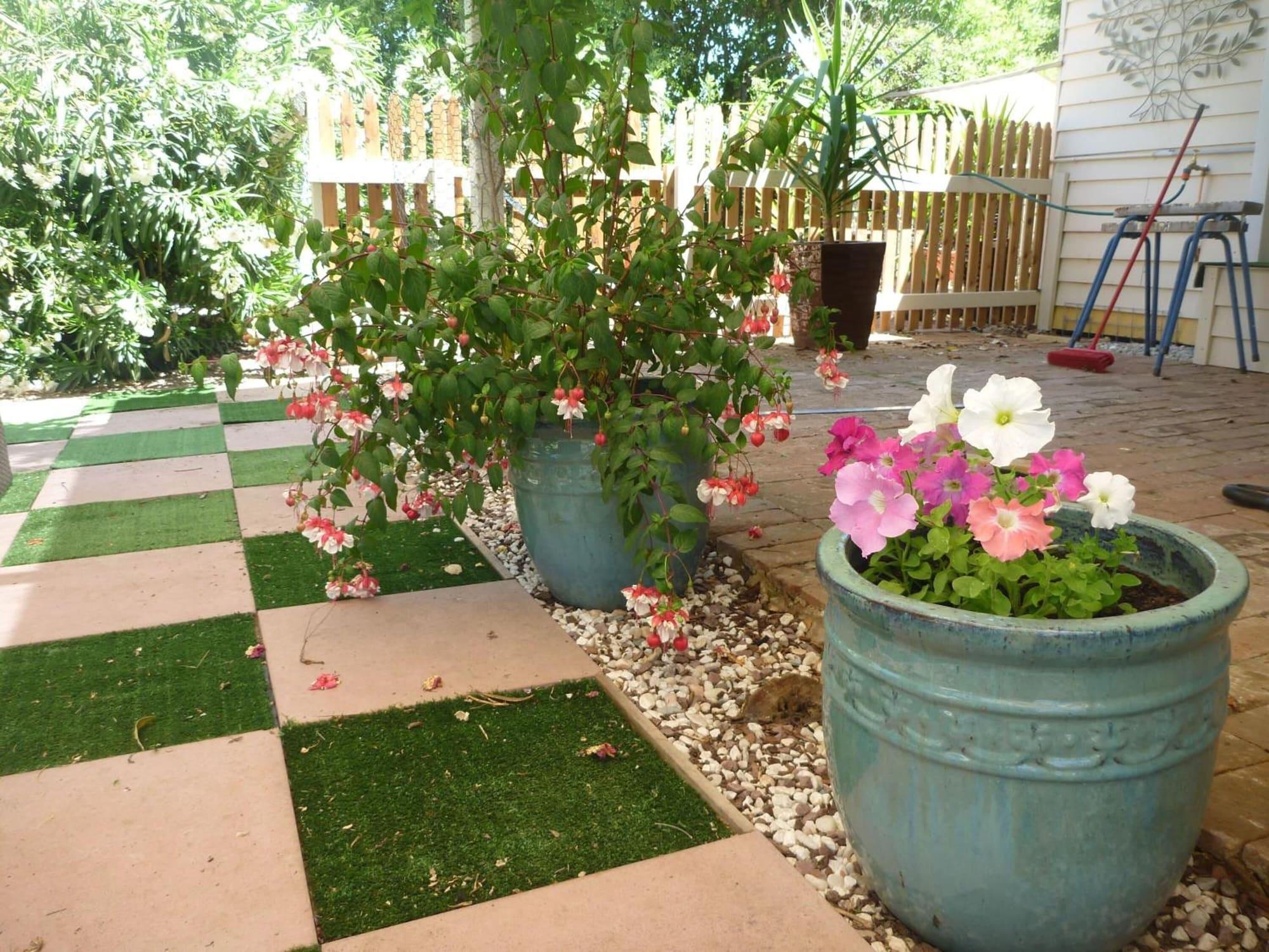 Vista Exterior Must Love Dogs B&b