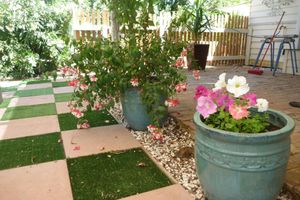 Alojamiento - Must Love Dogs B&b