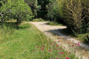 Alquiler Vacacional - Comfortable cottage in a wooded area by the pool near Sarlat