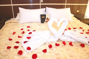 Alojamiento - Hotel Royal Inn