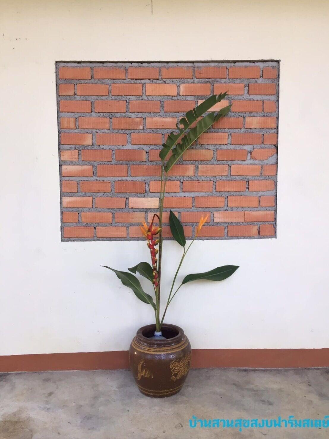 Spa Baansuan Suksangob Farm Stay