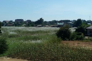 Alojamiento - RueangSriSiRi Guest House 2