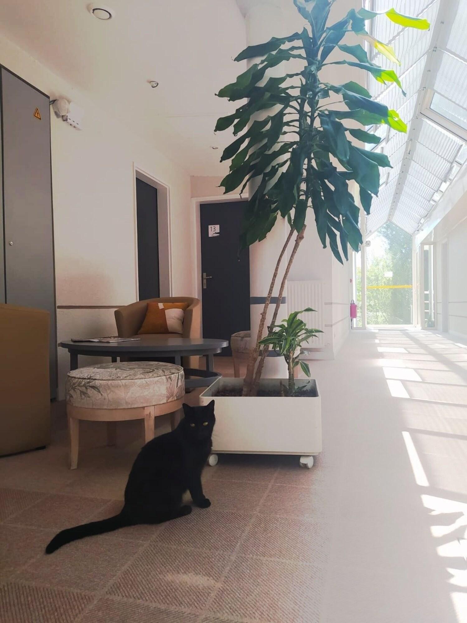 Vista Lobby Hotel Ile Du Saussay