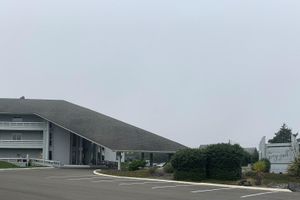 Alojamiento - The Grey Gull