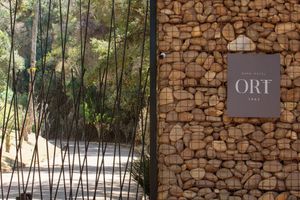 Alojamiento - Ort Hotel