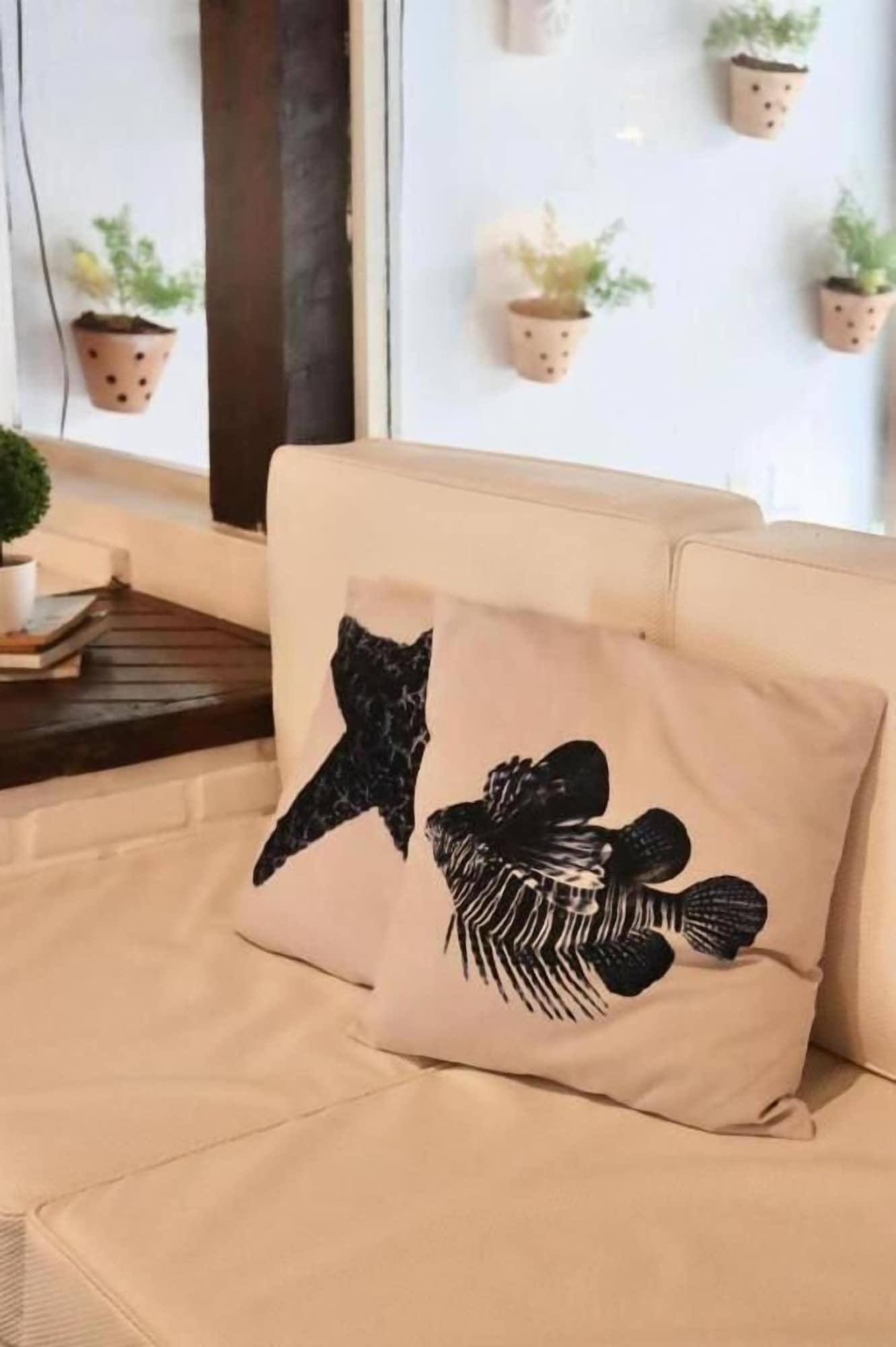 Vista Exterior Peixe Crew Centro