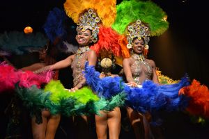 Passeio - Ginga Tropical: Show de Samba e Danças Brasileiras