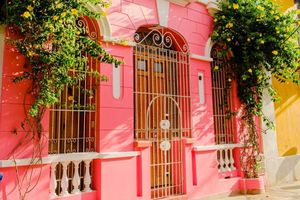 Alojamiento - CASA ROSA - ALMA HOTELS