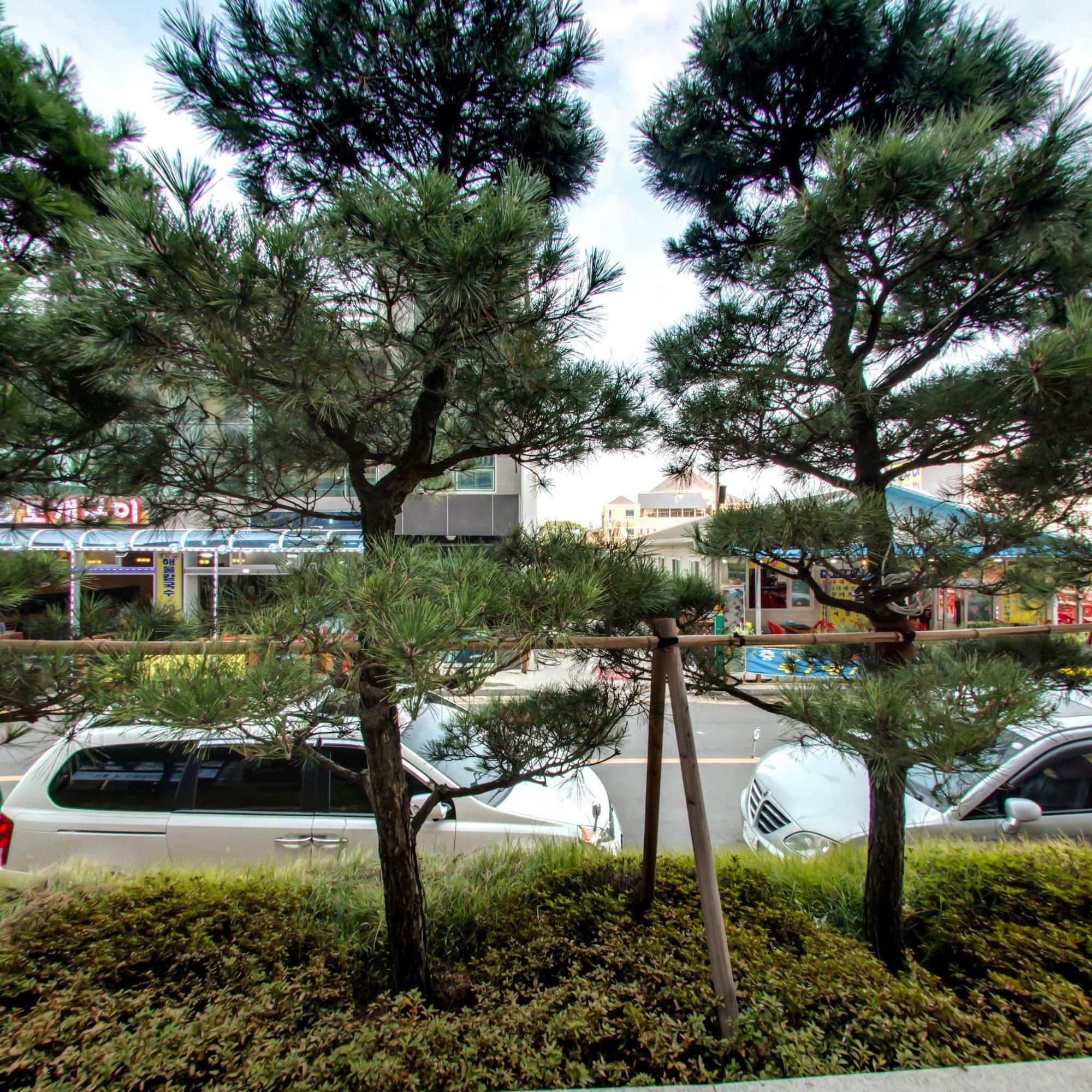 Vista Exterior Mudrin Hotel