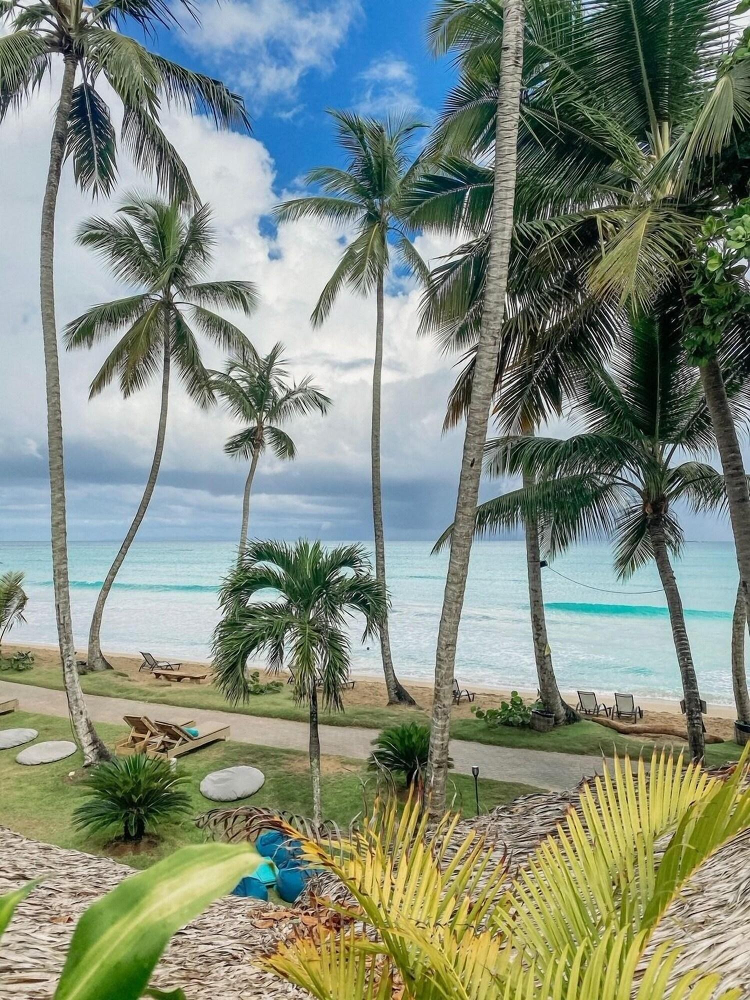 Playa Mosquito Boutique Hotel
