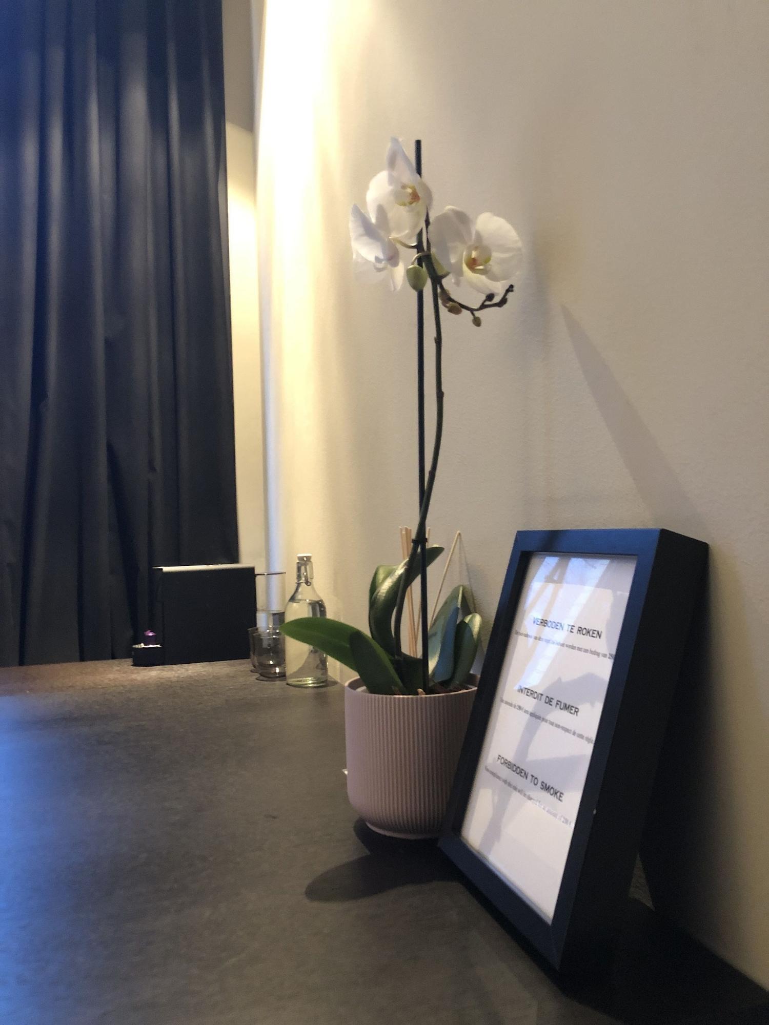 Varios Museum Suites