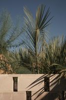 Alojamiento - Ranch Motel