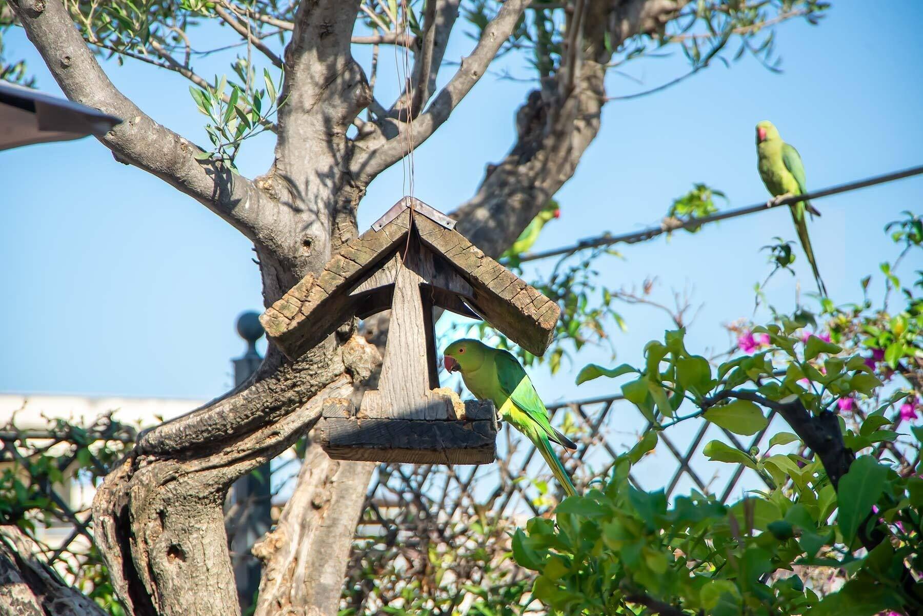 Vista Exterior Hotel Isa