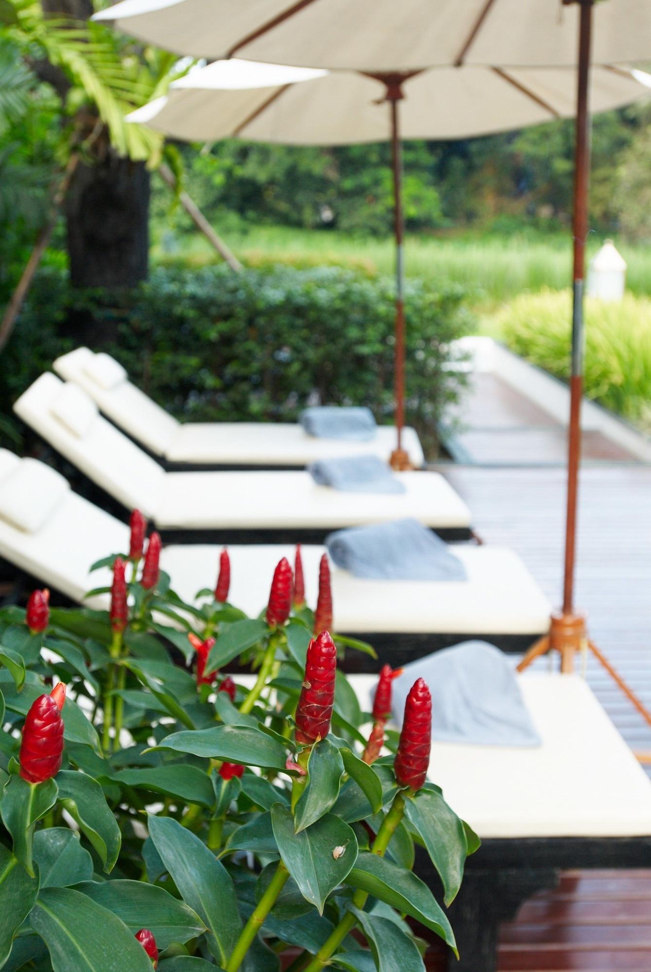 Vista Piscina Aruntara Riverside Boutique Hotel