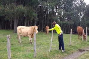 Actividad - Excursión a San Pedro por el Camino de Santiago