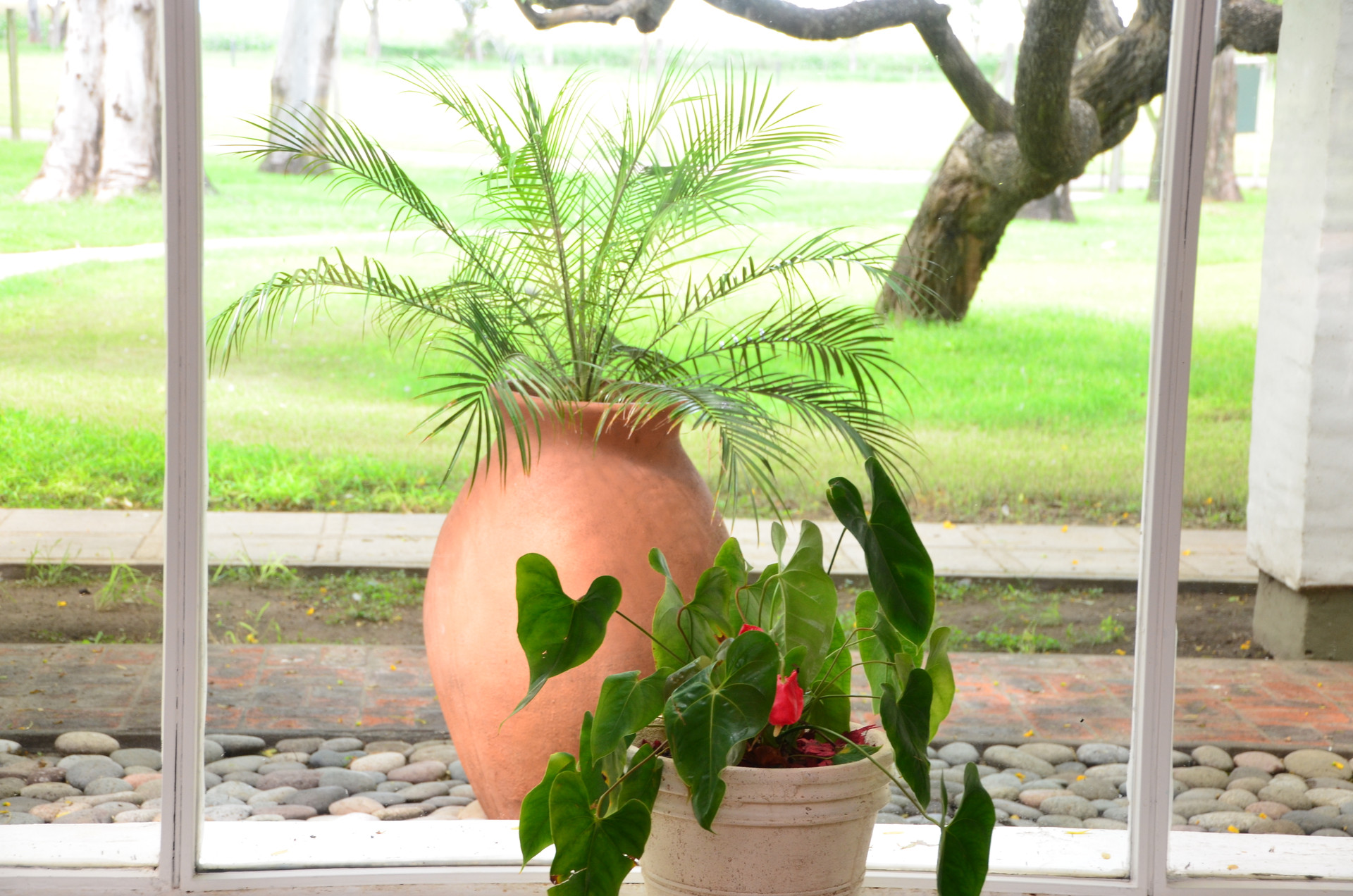 Varios Hostal del Arroyito