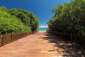 Alojamiento - Paradisus La Perla - Adults Only - Riviera Maya - All Inclusive