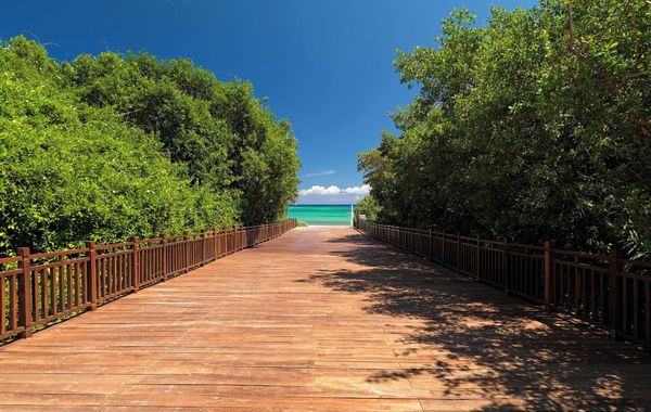Paradisus La Perla - Adults Only - Riviera Maya - All Inclusive
