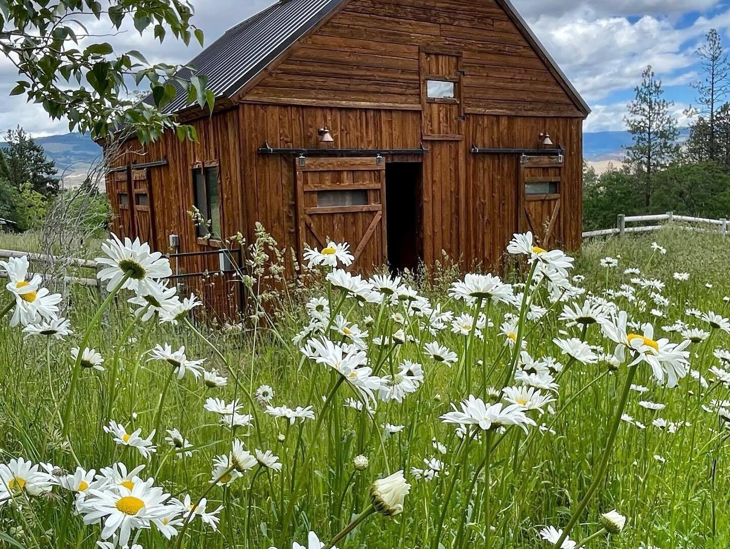 Vista Exterior Country Willows Inn and Estate
