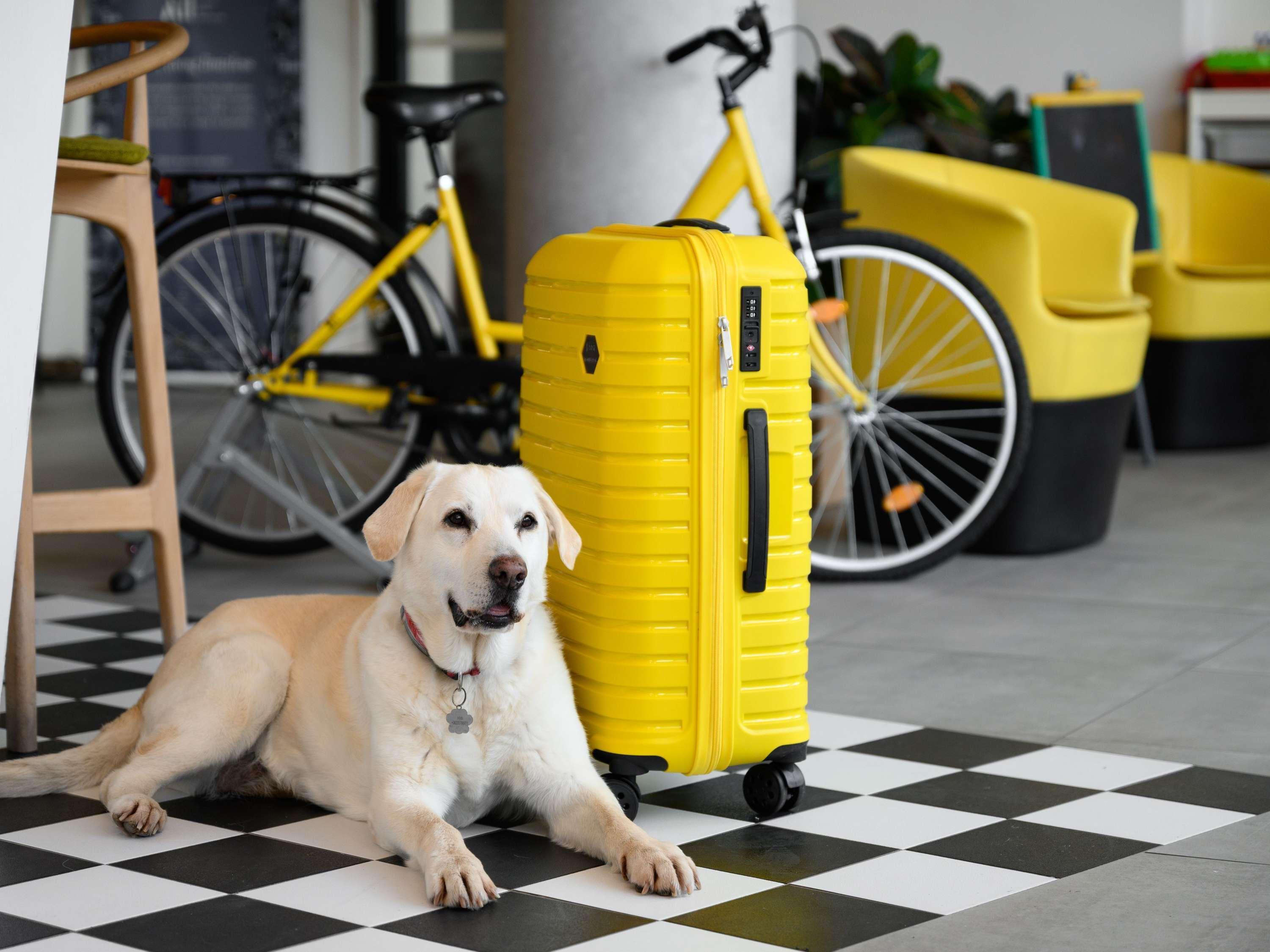 Instalaciones Recreativas ibis Styles Budapest City