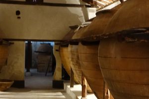 Actividad - Visita a la Bodega del Nero