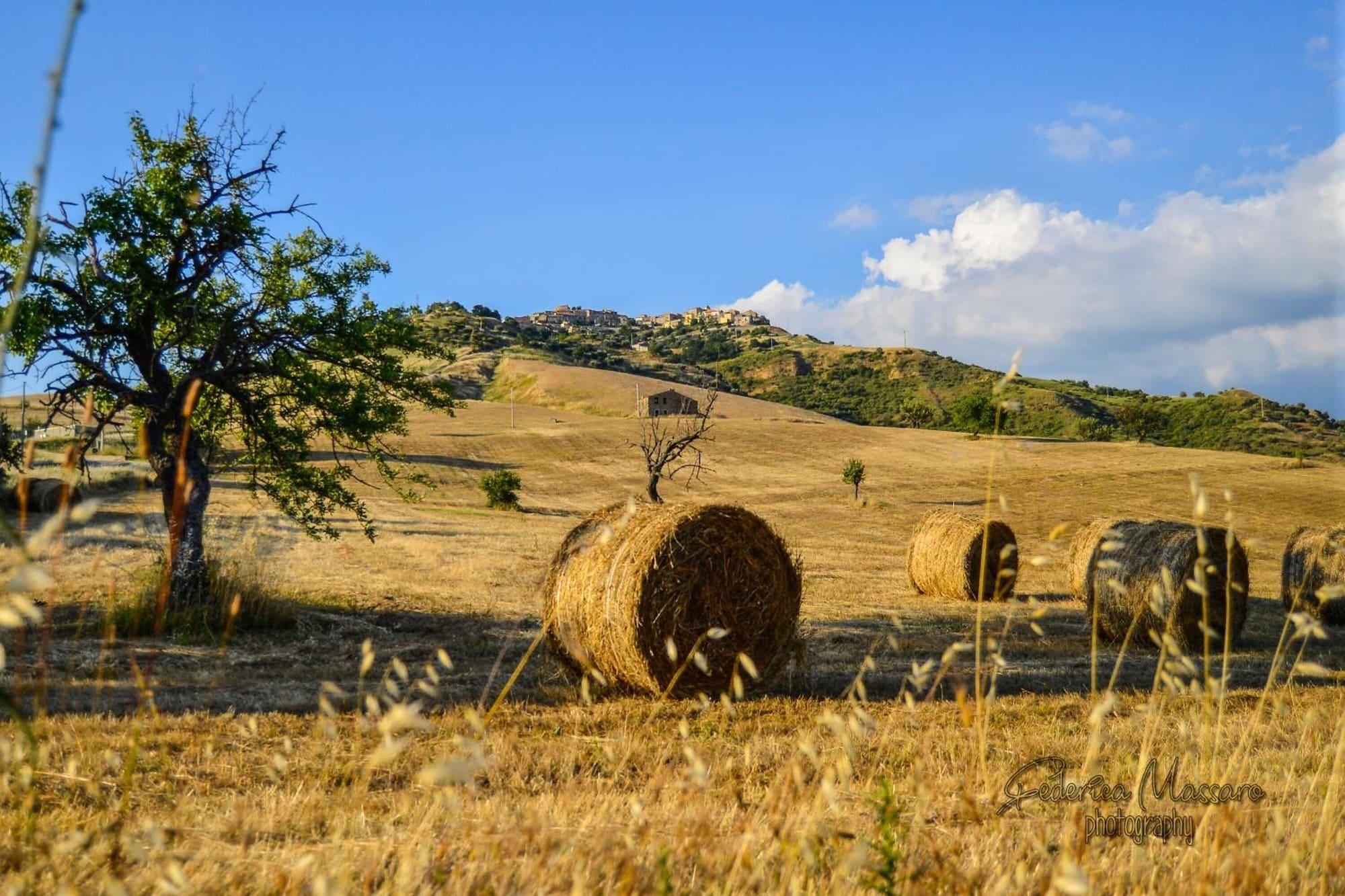 Comodidades del Alojamiento Casa Magaldi