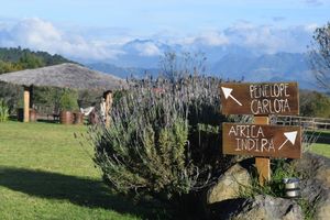 Alojamiento - Casa Kitsch, un paraíso en la Sierra de Puebla