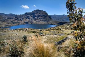 Actividad - Excursión privada de medio día al Parque Nacional Cajas