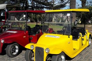 Actividad - Colonia en carrito: descubre su magia a tu ritmo