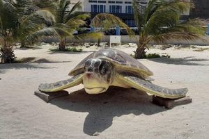 Alquiler Vacacional - Cozy 2-Bedroom Condo with WiFi, AC in Mindelo, Sao Vicente, Cape Verde