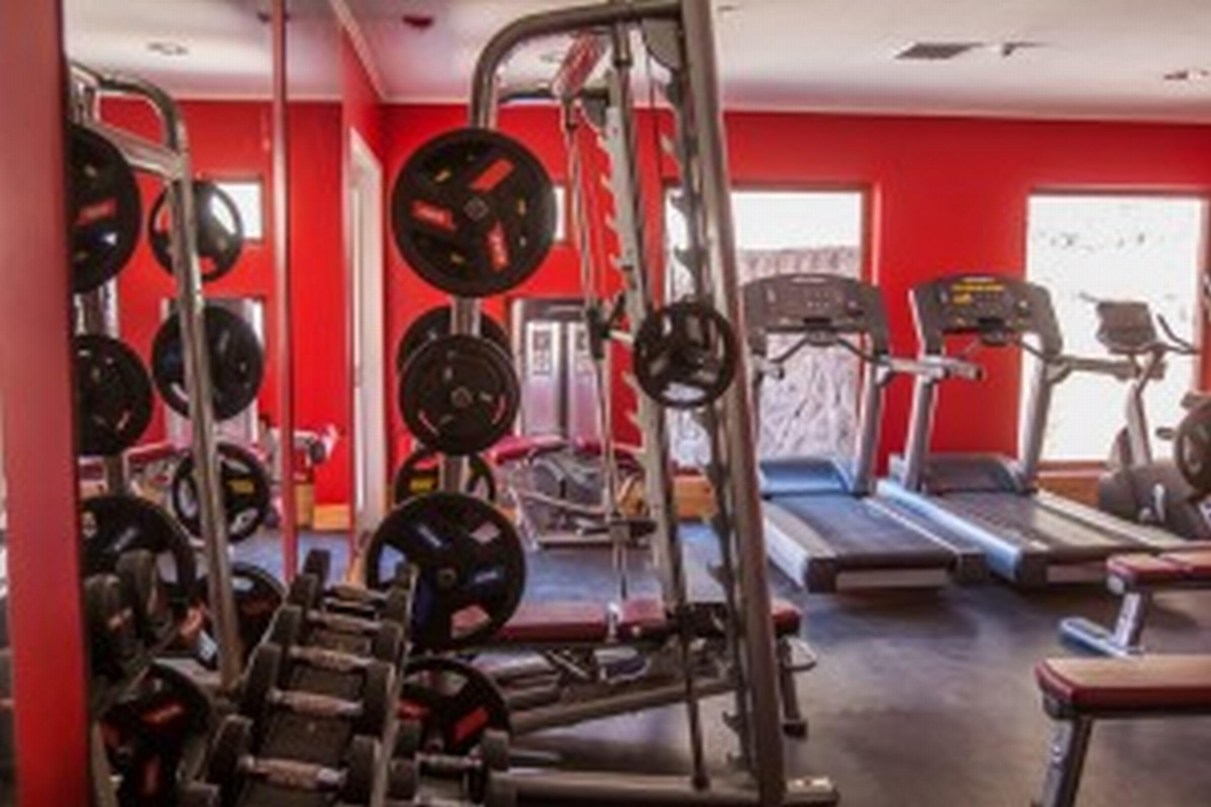 Gimnasio Noi Puma Lodge