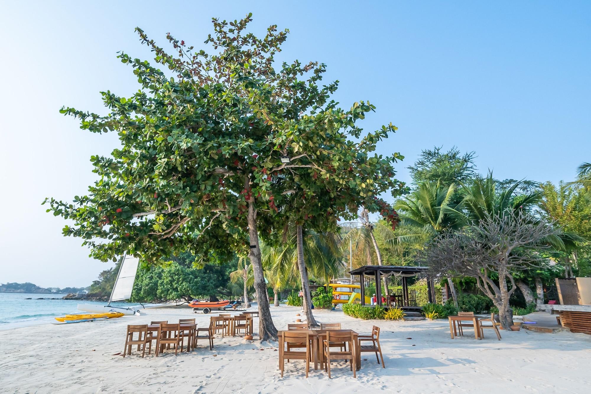 Playa Paradee
