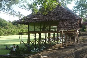 Alojamiento - Selvalop Tours