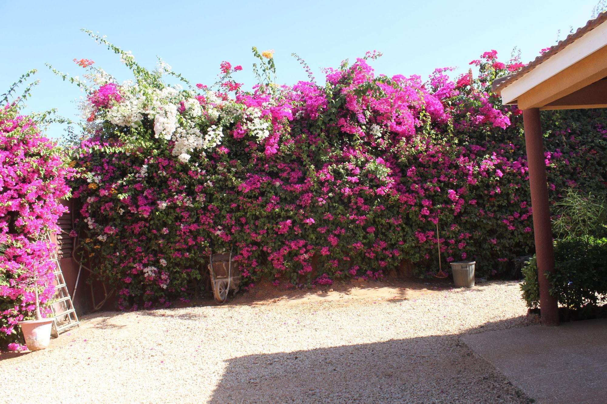 Vista Exterior Amour Sénégal