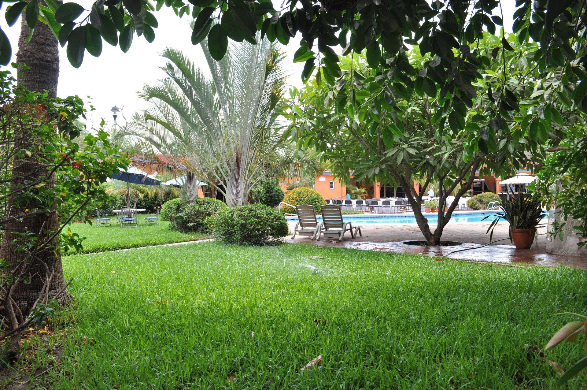 Vista Exterior Best Western Hotel Del Rio
