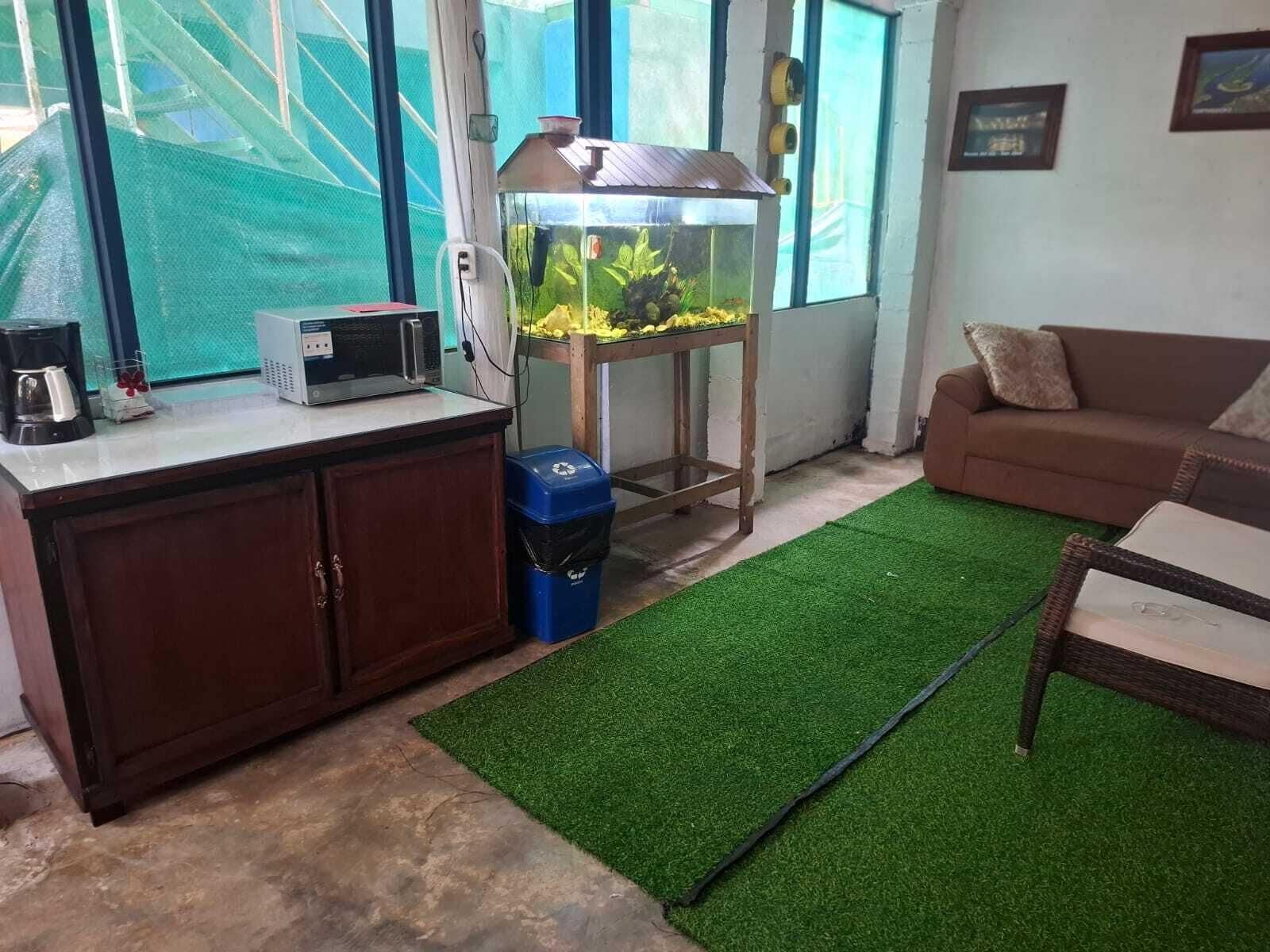 Vista Lobby Cabinas Tortuguero Natural