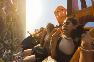 Actividad - Parque Busch Gardens Tampa - Tickets
